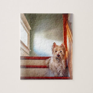 Puzzle Chien de Westie se reposant sur les escaliers,