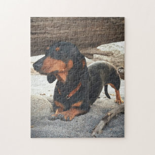 Puzzle Chien de yoga
