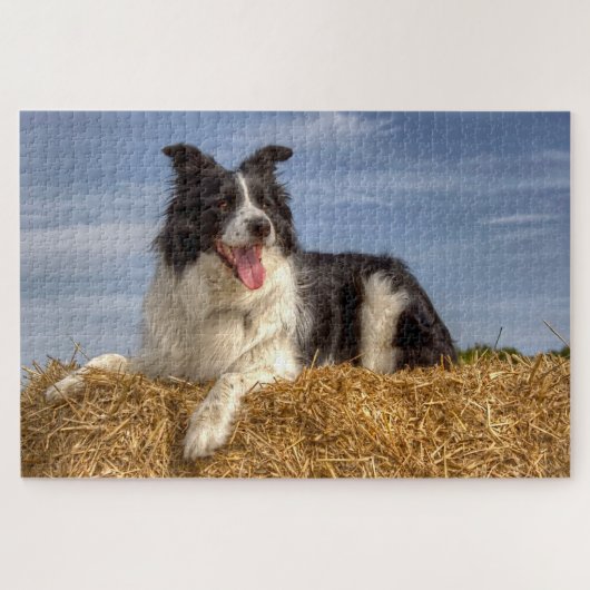 Puzzle Chien d'élevage sur Hay Bale 1014 Piece Jigsaw Puz (Horizontal)
