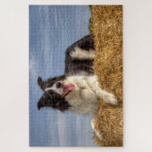 Puzzle Chien d'élevage sur Hay Bale 1014 Piece Jigsaw Puz (Vertical)