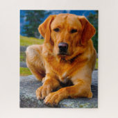 Puzzle Chien du Labrador. (Vertical)