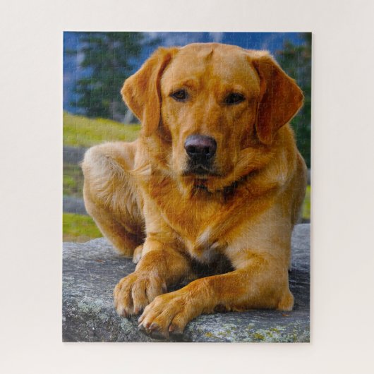 Puzzle Chien du Labrador. (Vertical)