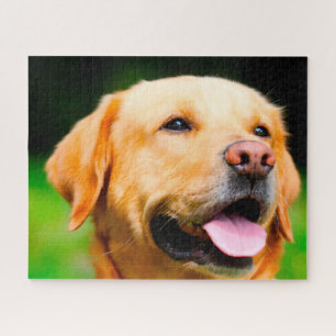 Puzzle Chien du Labrador.