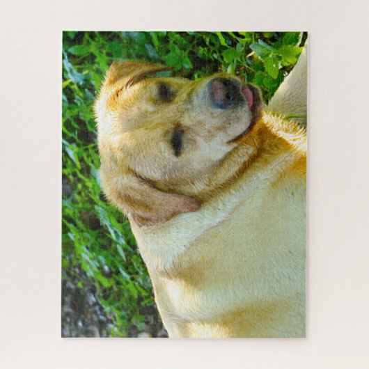 Puzzle Chien du Labrador. (Vertical)