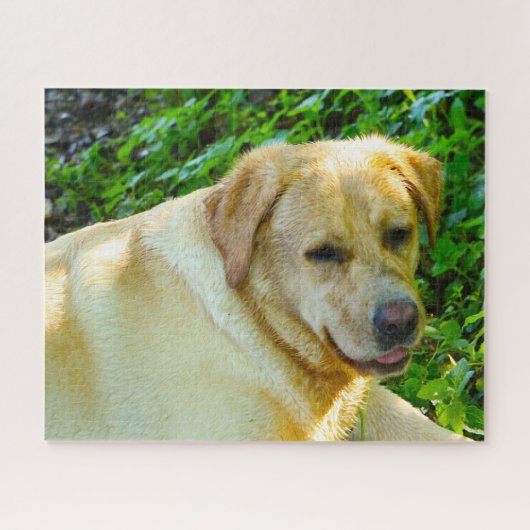 Puzzle Chien du Labrador. (Horizontal)