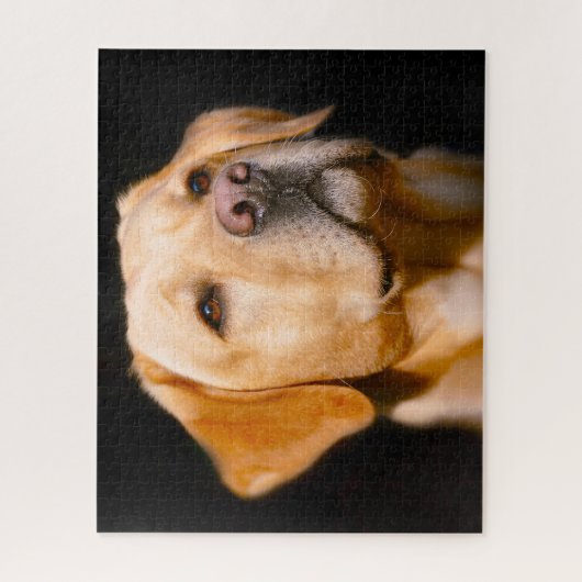 Puzzle Chien du Labrador. (Vertical)