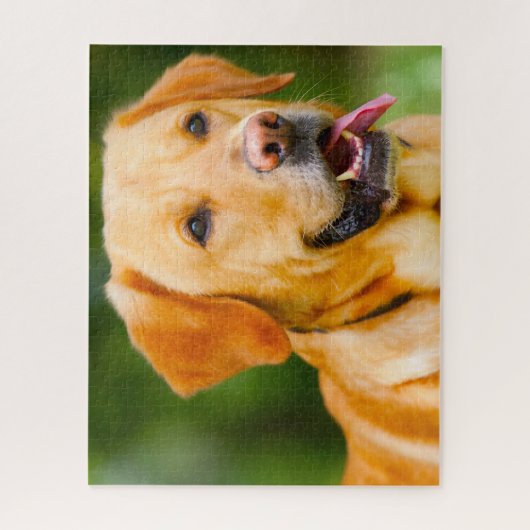 Puzzle Chien du Labrador. (Vertical)