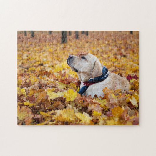 Puzzle Chien du Labrador mignon dans les feuilles d'autom (Horizontal)