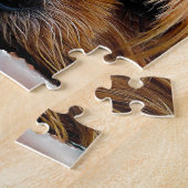 Puzzle Chien du Yorkshire Terrier (Côté)