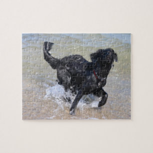 Puzzle Chien en en friche   Black Labrador Splashing in W