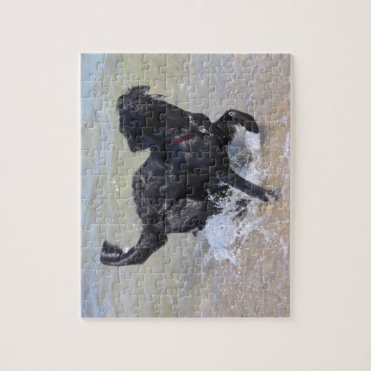 Puzzle Chien en en friche | Black Labrador Splashing in W (Vertical)