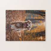 Puzzle Chien en forêt (Horizontal)