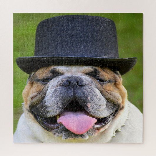 Puzzle Chien En Haut Du Chapeau (Vertical)