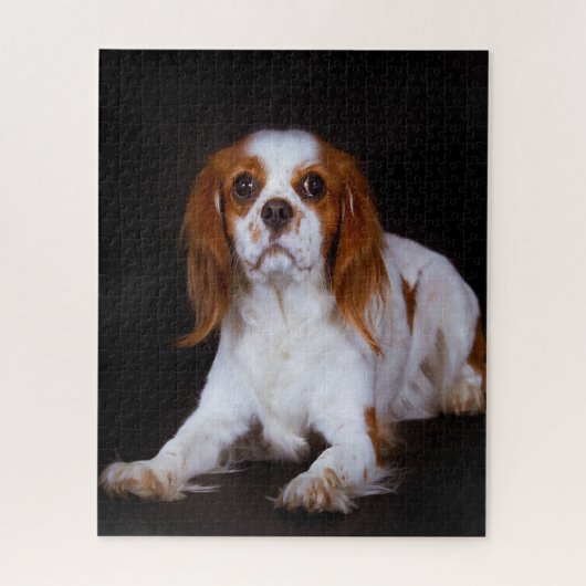 Puzzle Chien Épagneul King Charles. (Vertical)