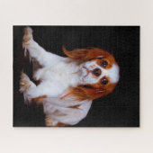 Puzzle Chien Épagneul King Charles. (Horizontal)