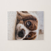 Puzzle Chien Espagnol Coqueur Triste (Horizontal)