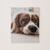 Puzzle Chien Espagnol Coqueur Triste (Vertical)