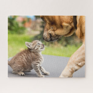 Puzzle Chien et chat des images de Getty dans l'amour