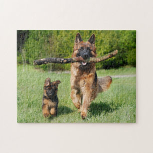 Puzzle Chien et chiot allemands en chair et en os
