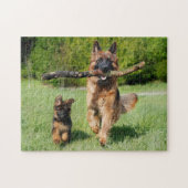 Puzzle Chien et chiot allemands gonflés (Horizontal)