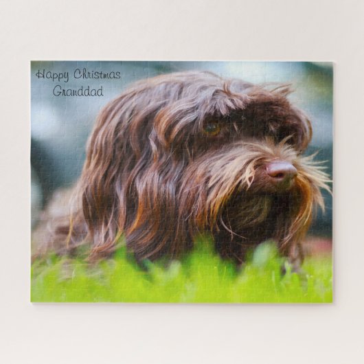 Puzzle Chien Havanais. (Horizontal)