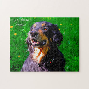 Puzzle Chien Hovawart.