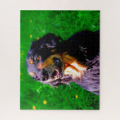 Puzzle Chien Hovawart. (Vertical)