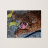 Puzzle Chien humide avec banane (Horizontal)