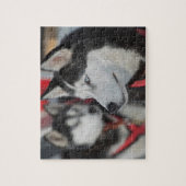 Puzzle Chien husky avant une course, Canada (Vertical)