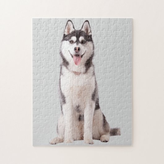 Puzzle Chien Husky de Sibérie (Vertical)