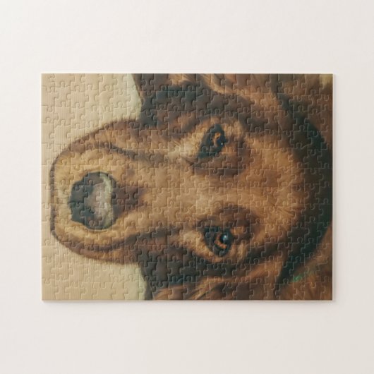 Puzzle Chien irlandais d'or observé par brun (Horizontal)