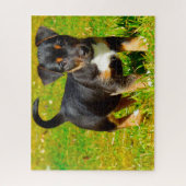 Puzzle Chien Jack Russell. (Vertical)