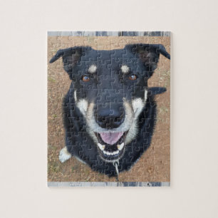 Puzzle Chien Jigsaw