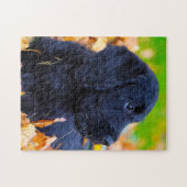 Puzzle Chien Labradoodle. (Horizontal)