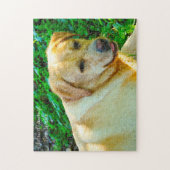 Puzzle Chien labrador. (Vertical)