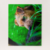 Puzzle Chien Lakeland Terrier. (Vertical)