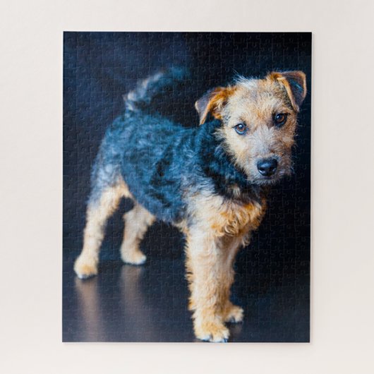 Puzzle Chien Lakeland Terrier. (Vertical)