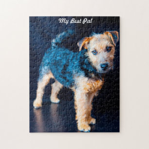 Puzzle Chien Lakeland Terrier.