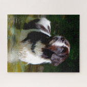 Puzzle Chien Landseer. (Horizontal)