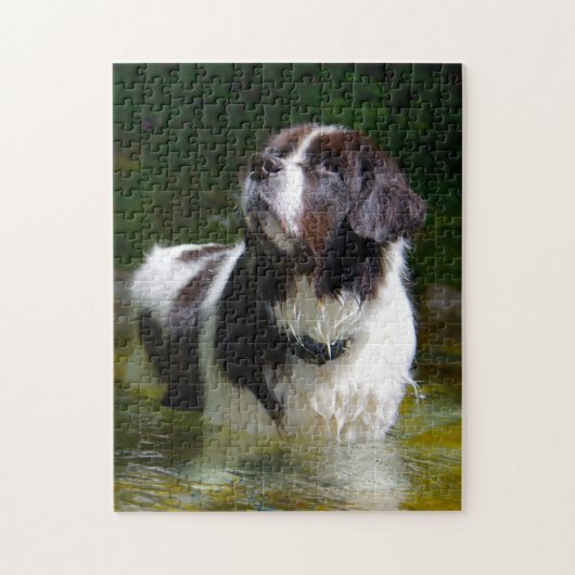 Puzzle Chien Landseer. (Vertical)