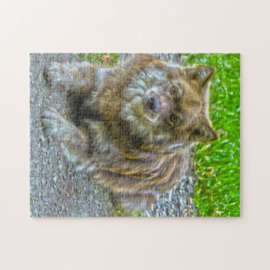 Puzzle Chien lapin. (Horizontal)