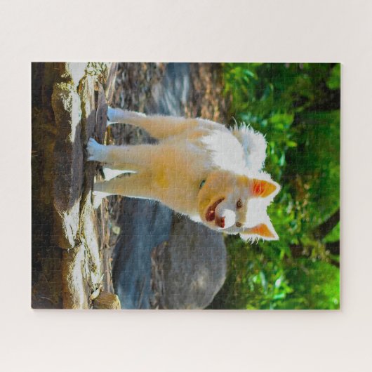 Puzzle Chien lapin. (Horizontal)