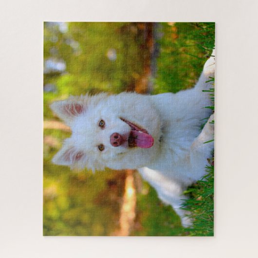 Puzzle Chien lapin. (Vertical)