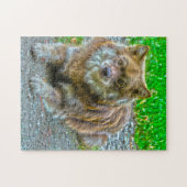 Puzzle Chien Lapphund. (Horizontal)
