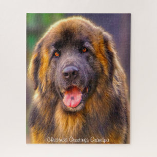 Puzzle Chien Leonberger.