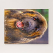 Puzzle Chien Leonberger. (Horizontal)