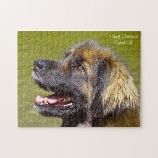 Puzzle Chien Leonberger. (Horizontal)