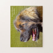 Puzzle Chien Leonberger. (Vertical)