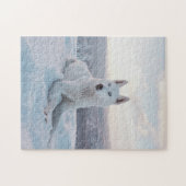 Puzzle Chien majestic White Husky (Horizontal)