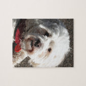 Puzzle Chien maltais mignon de Shih Tzu (Horizontal)
